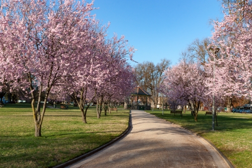 Robertson Park